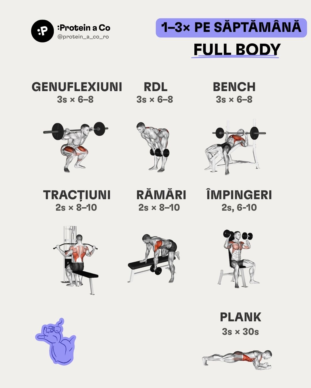 Jak-si-nastavit-treninkovy-plan-1-RO-clanek-cviceni-proteinaco